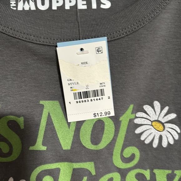 5 for $20! Disney The Muppets Kermit the Frog Short Sleeve Tee size large - Picture 3 of 4